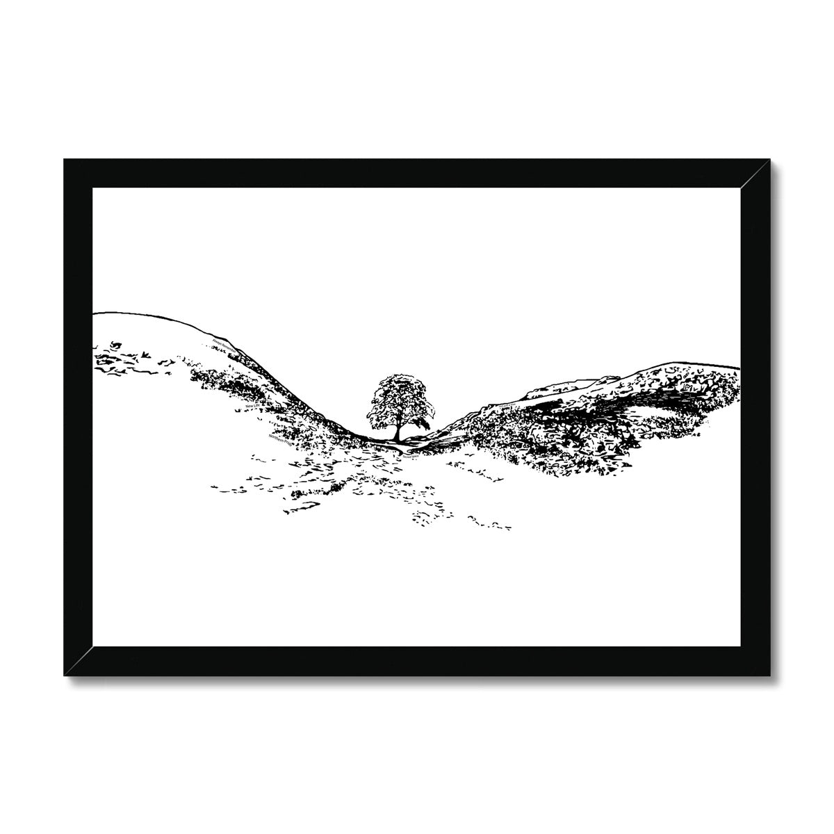 Sycamore Gap themed print featuring Sycamore Gap tree by Powder Butterfly