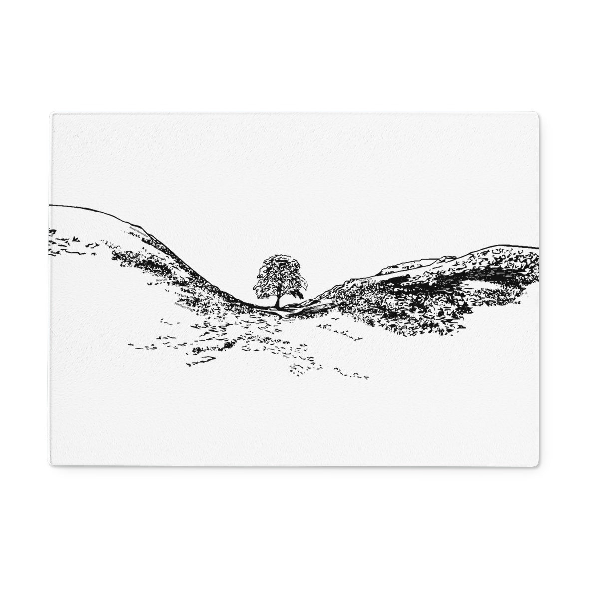 Sycamore Gap themed coaster featuring a Sycamore Gap design by Powder Butterfly