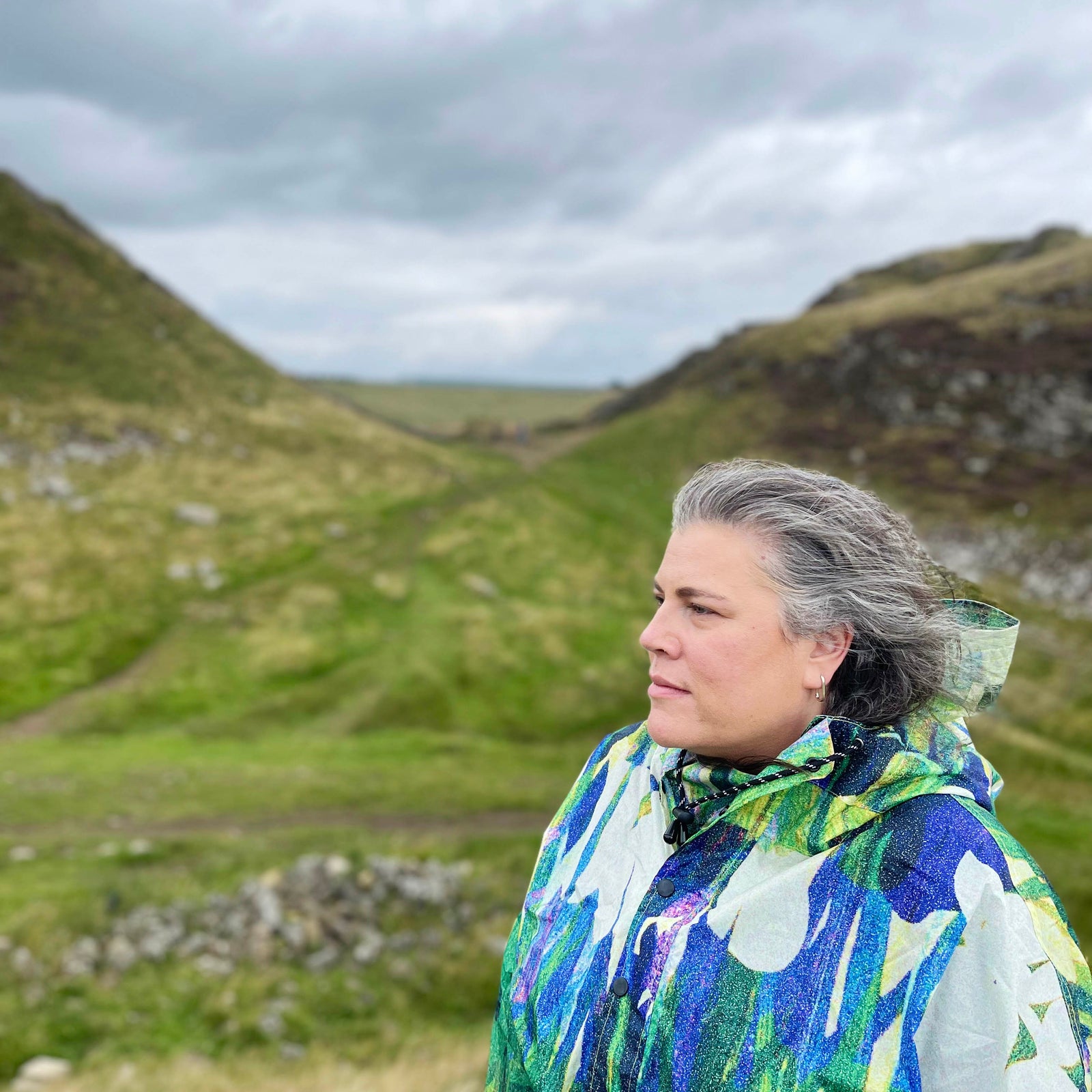 Sycamore Gap - Why did they do it?