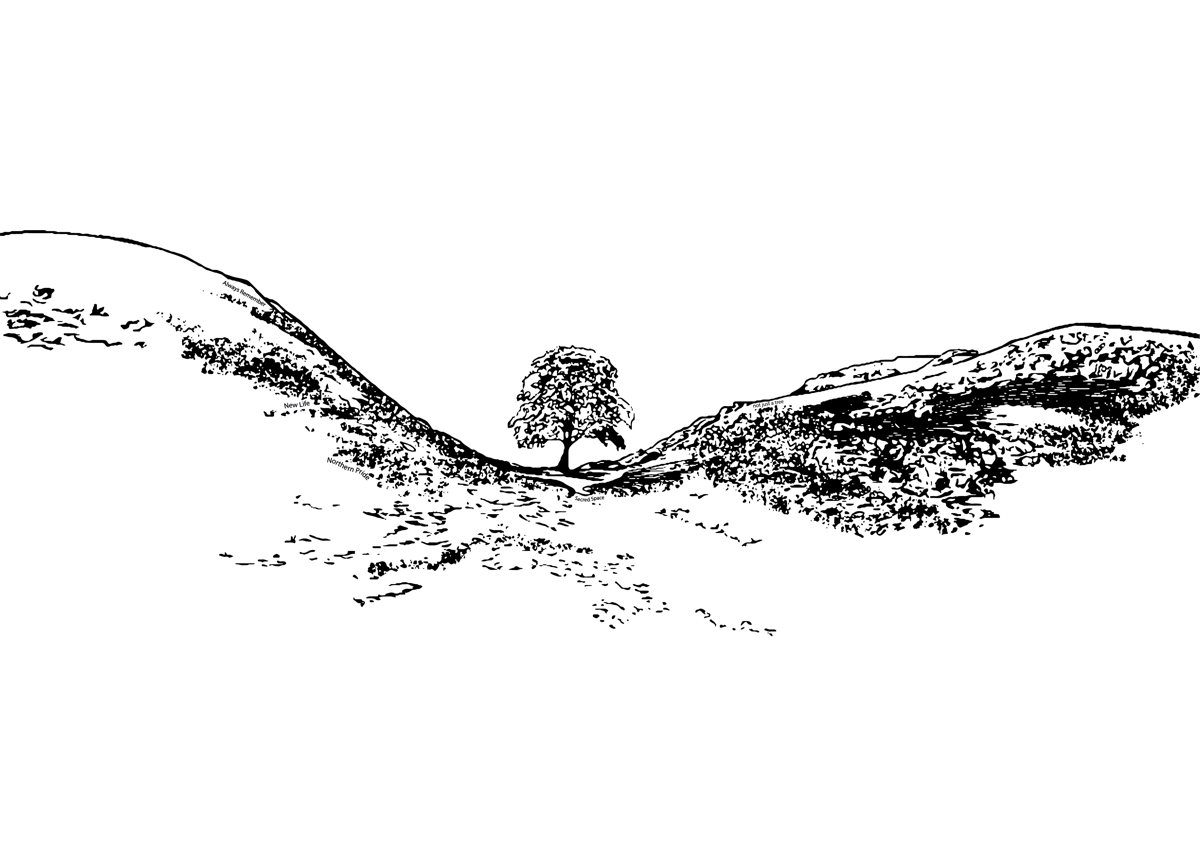 Sycamore Gap