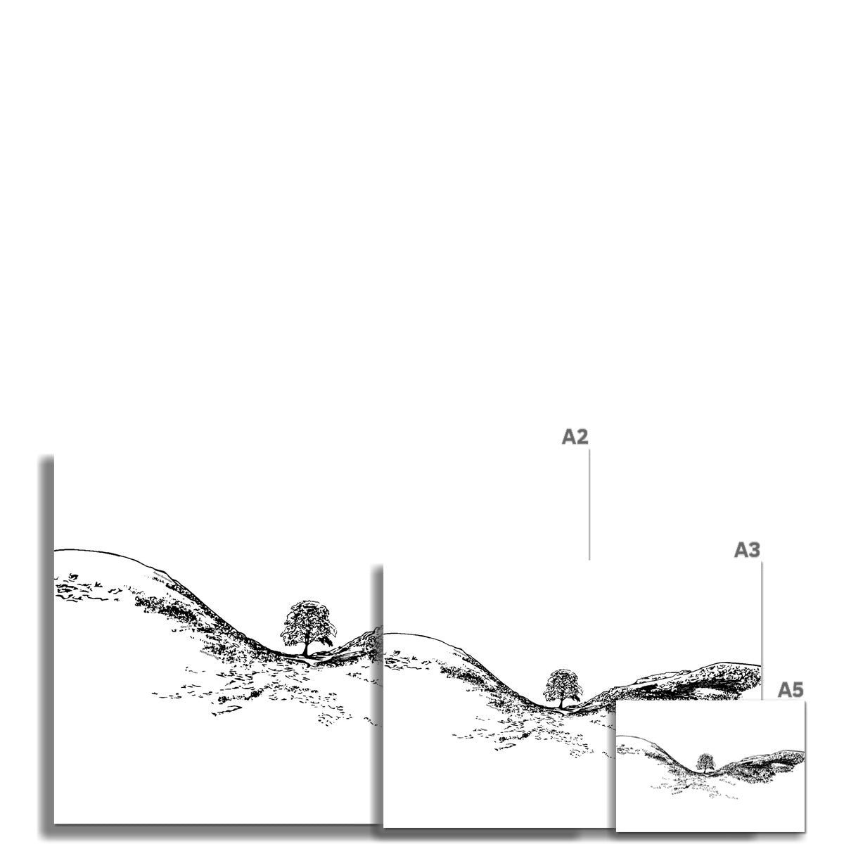 Sycamore Gap Themed Fine Art Print