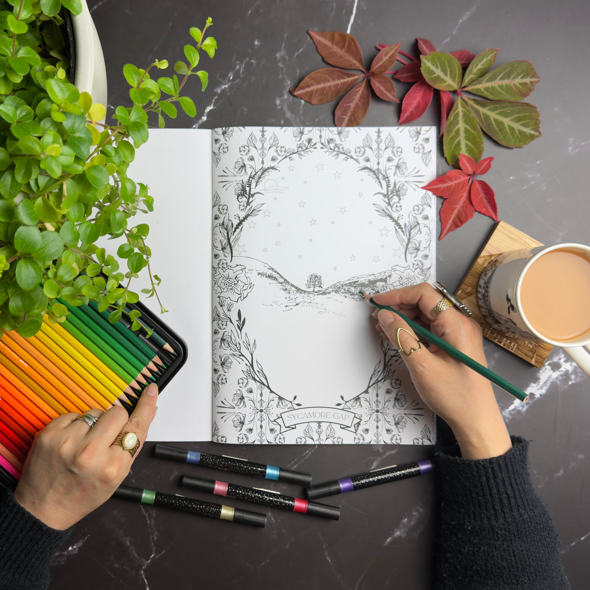 Flat lay view of a person's hands colouring in a black and white floral ink colouring book, surrounded by a rainbow of colouring pencils, a green plant, autumn leaves, and a cup of tea on a dark marble tabletop.